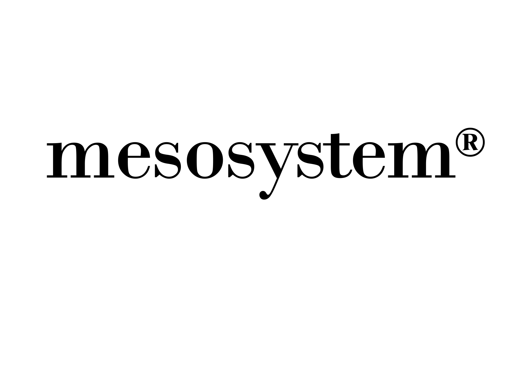 mesosystem-logotipo_page-0001 - MED LUX